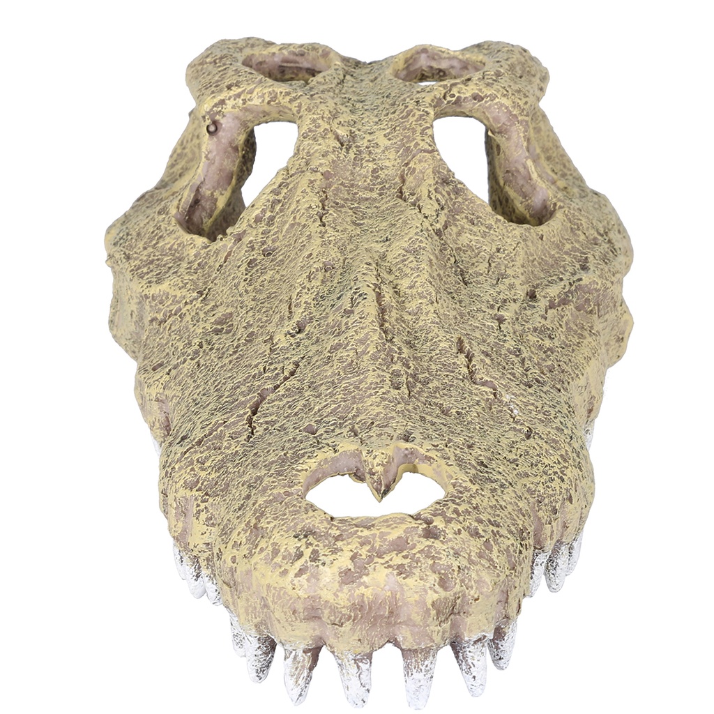 Aligator