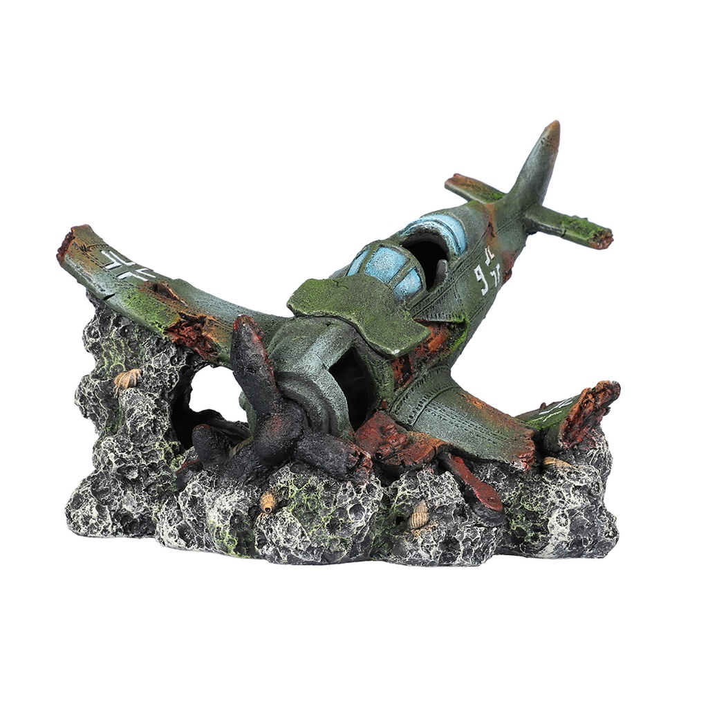 Crashed Raven