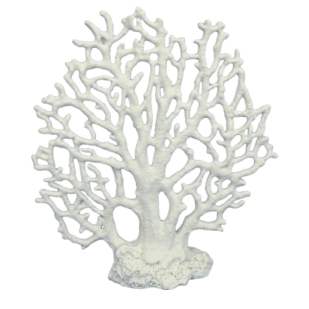 Octocoral