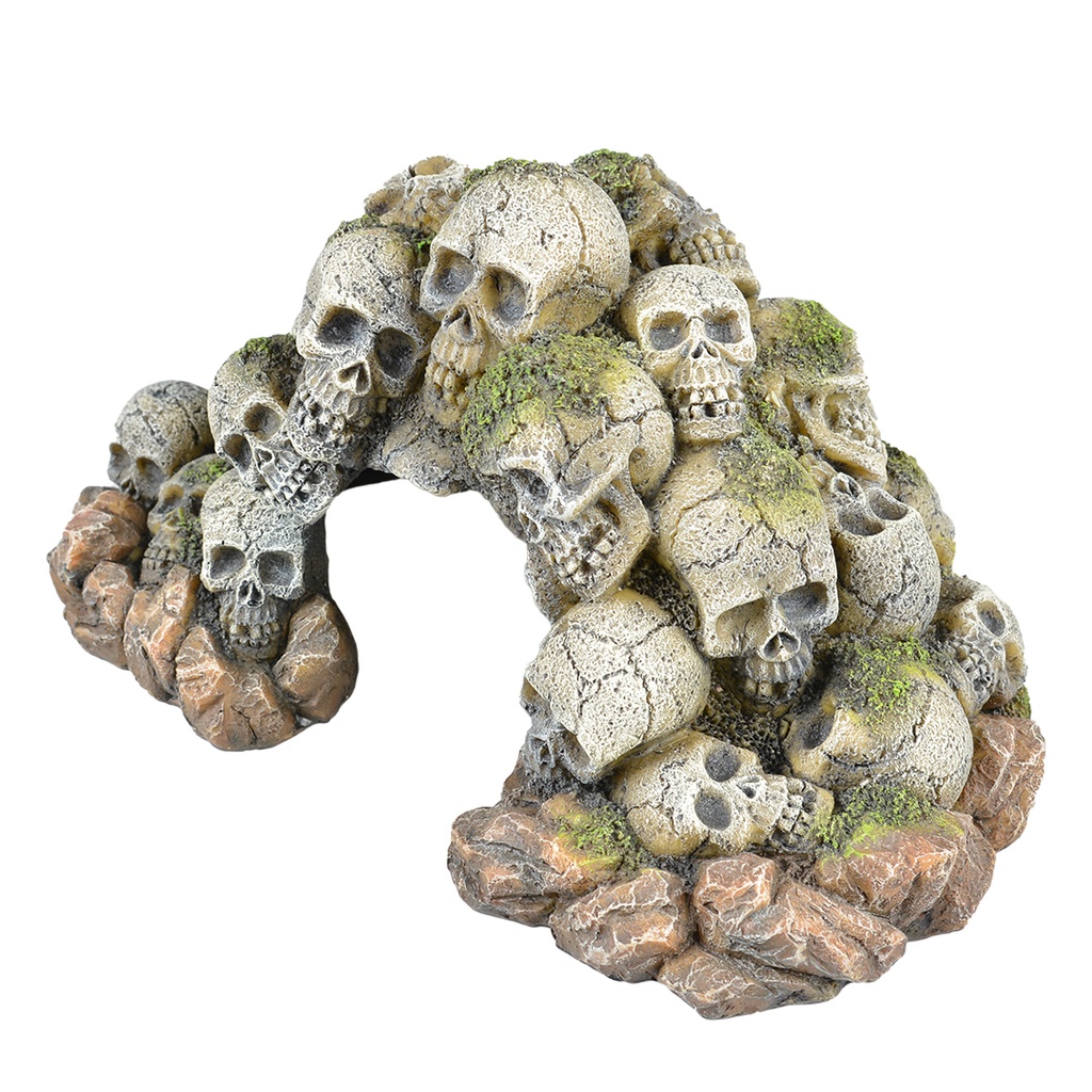 Skulls Cave