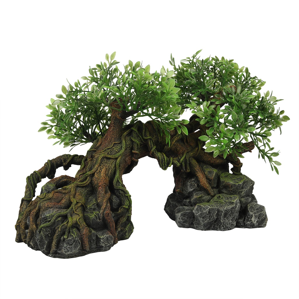 Arbre jungle