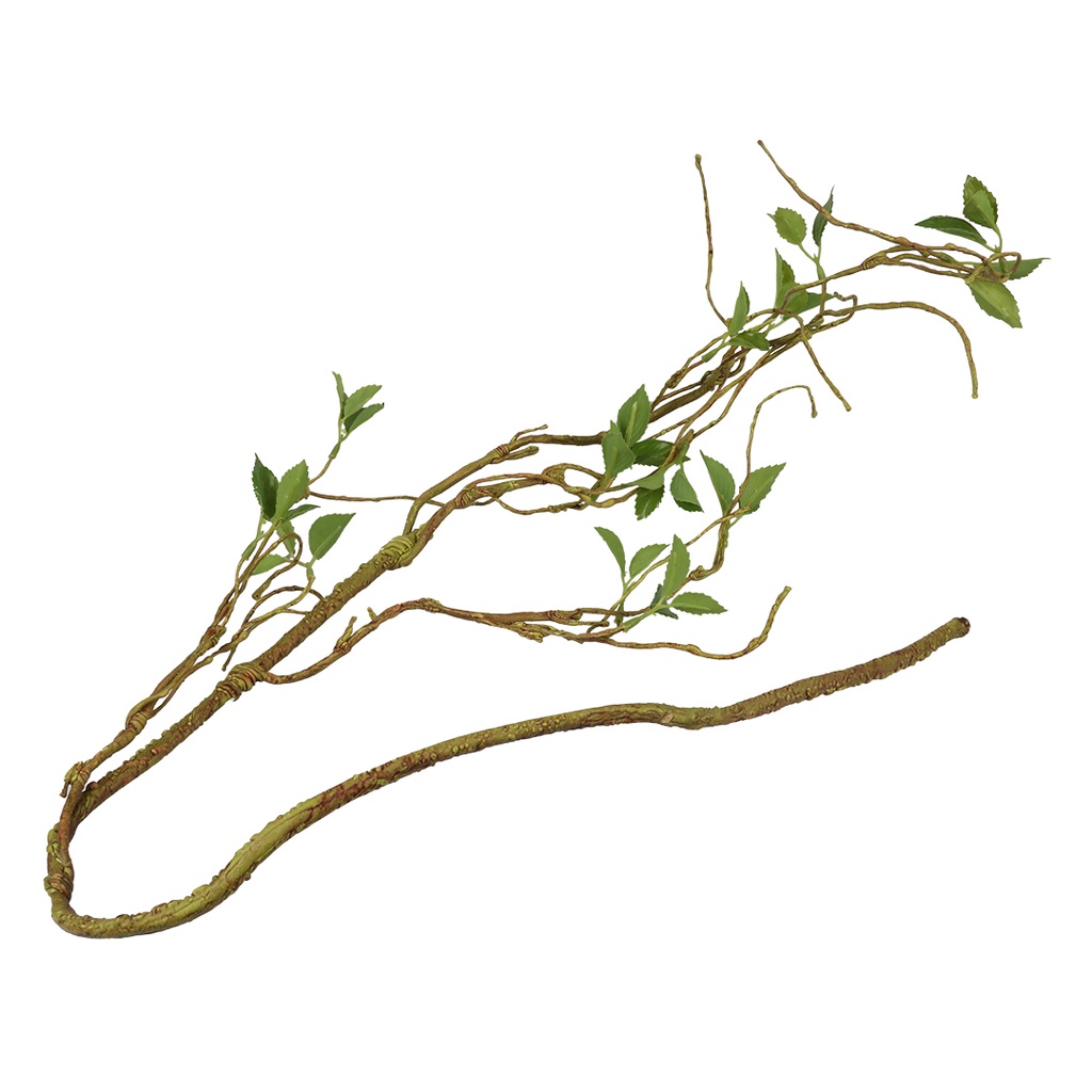 plant branch thin