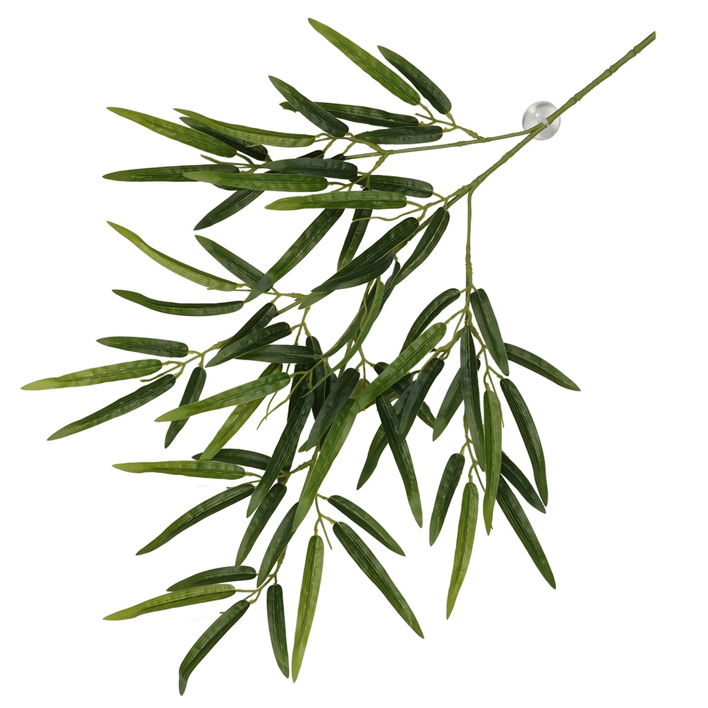 Hanging plant Bamboo