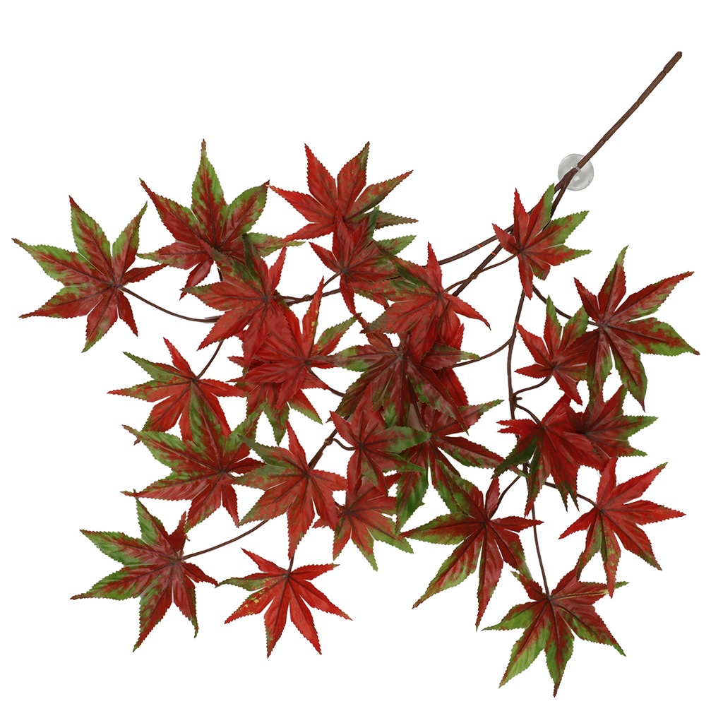 Hangende Cannabis