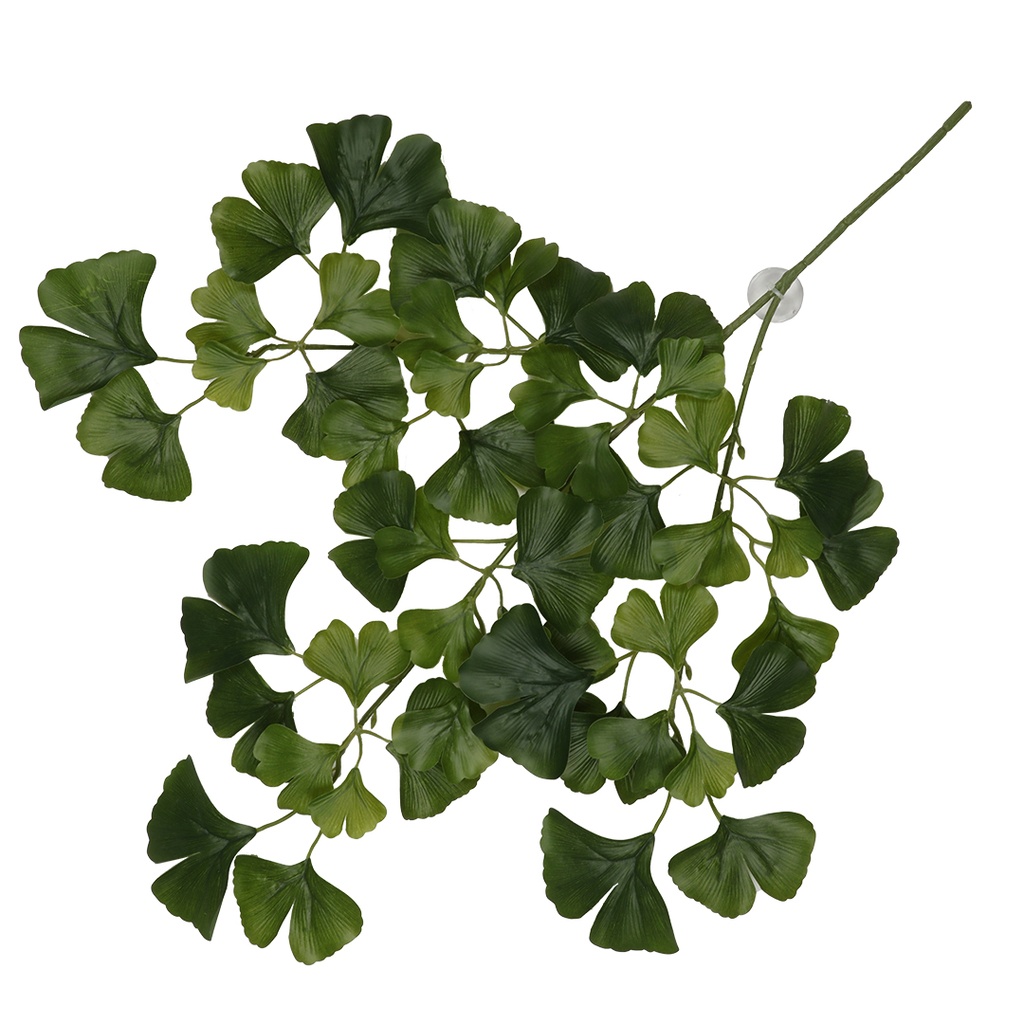 Hängepflanze Ginko