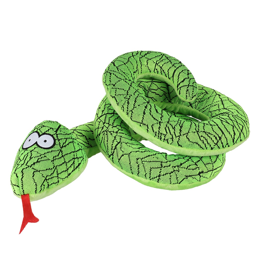 Coockoo Reggie