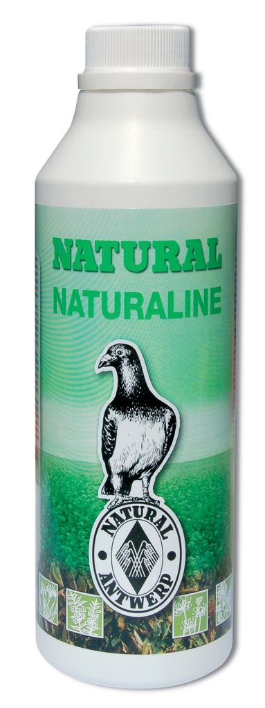 Natural Naturaline  A6 K6 P924