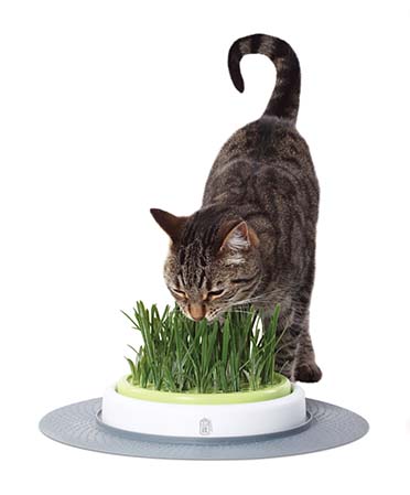 CA Kohlefilter Katzentoiletten