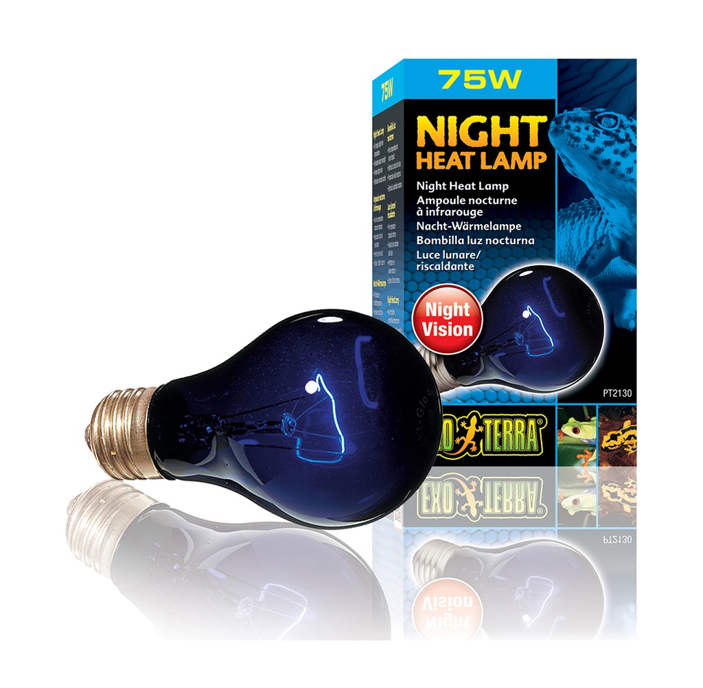 EX night glo bulb