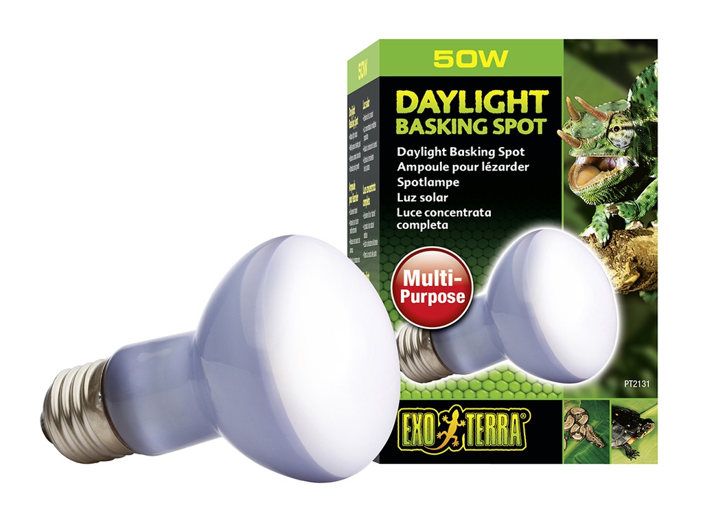 EX lampe daylight basking spot