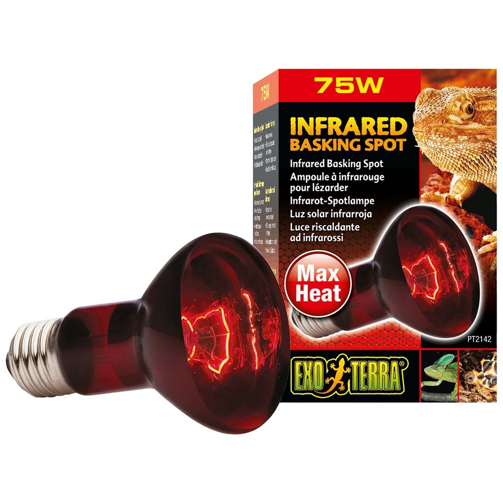 EX lampe infrared basking spot