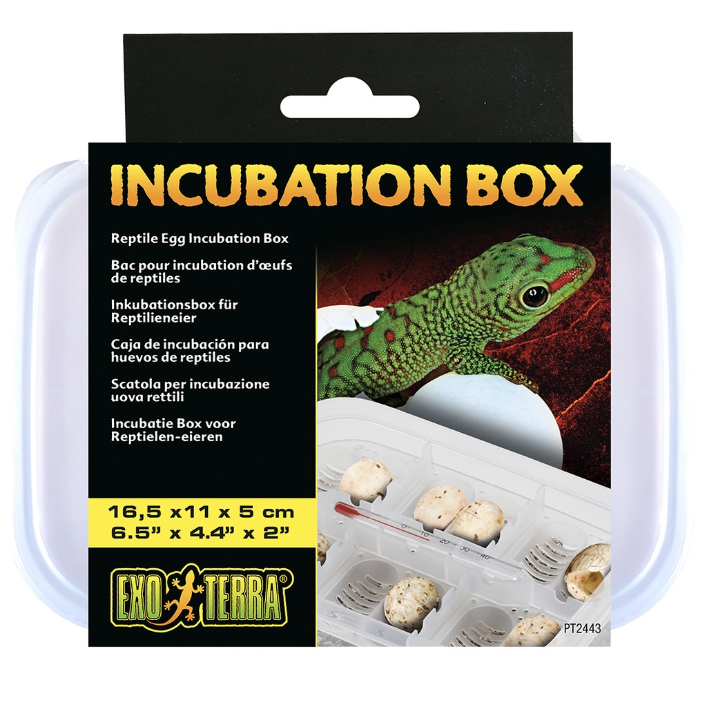 EX reptile egg incubation box