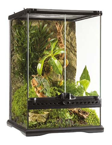 EX glas terrarium aboriginal