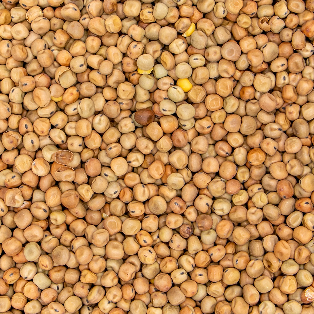 Dunpeas