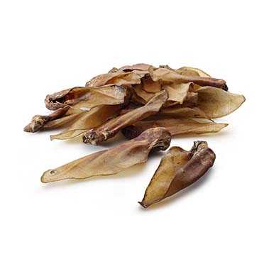Heater theo 100w