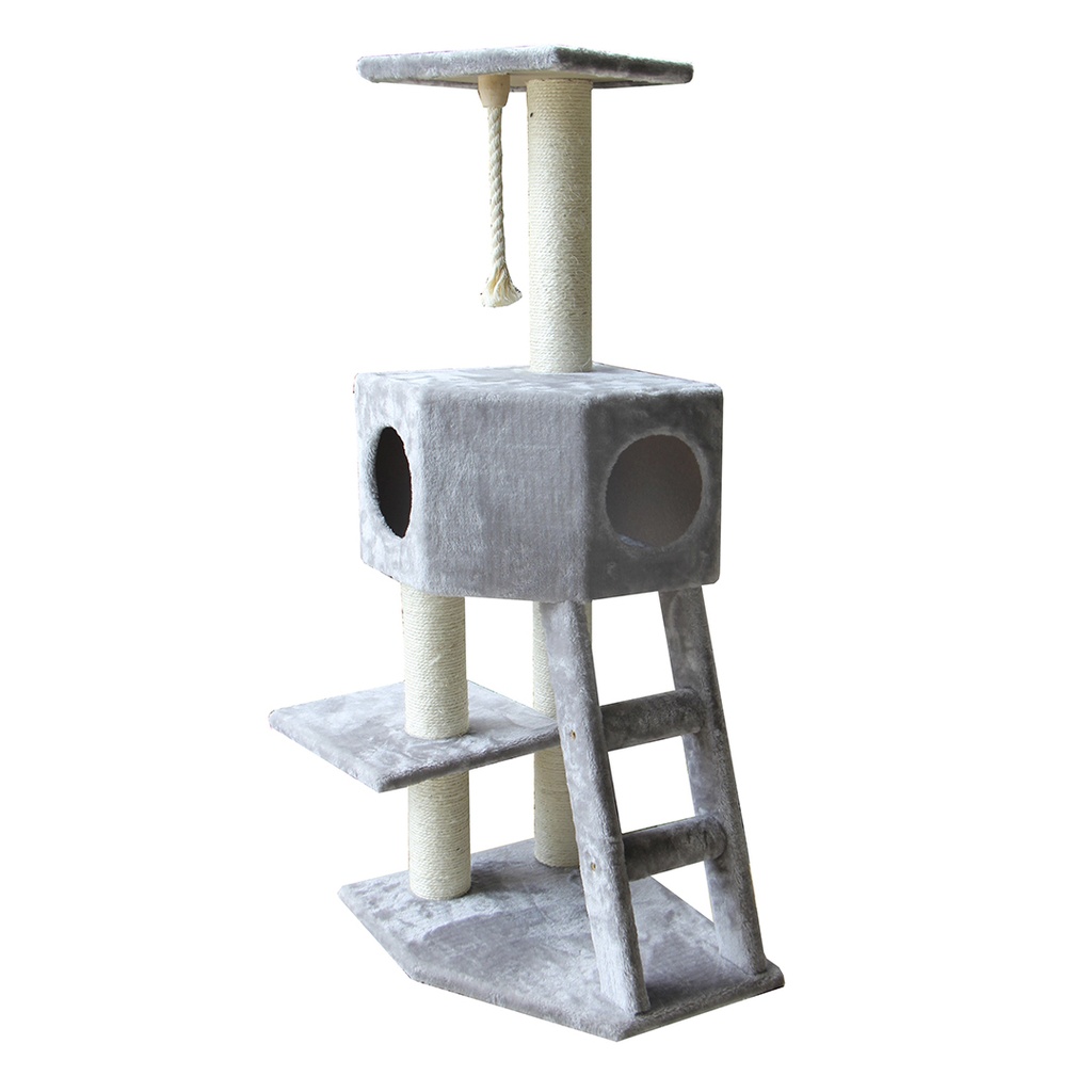Scratching tree classictree rover