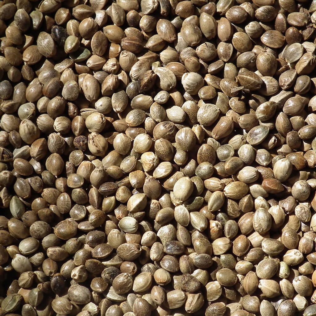 Hempseed medium