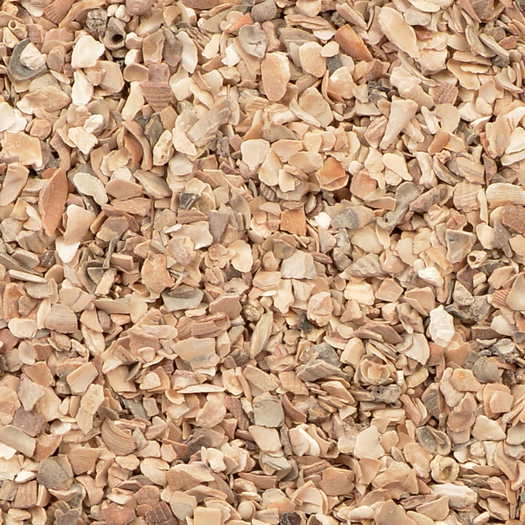 Écailles d'huitres brut 2-5mm poules nr1 p50