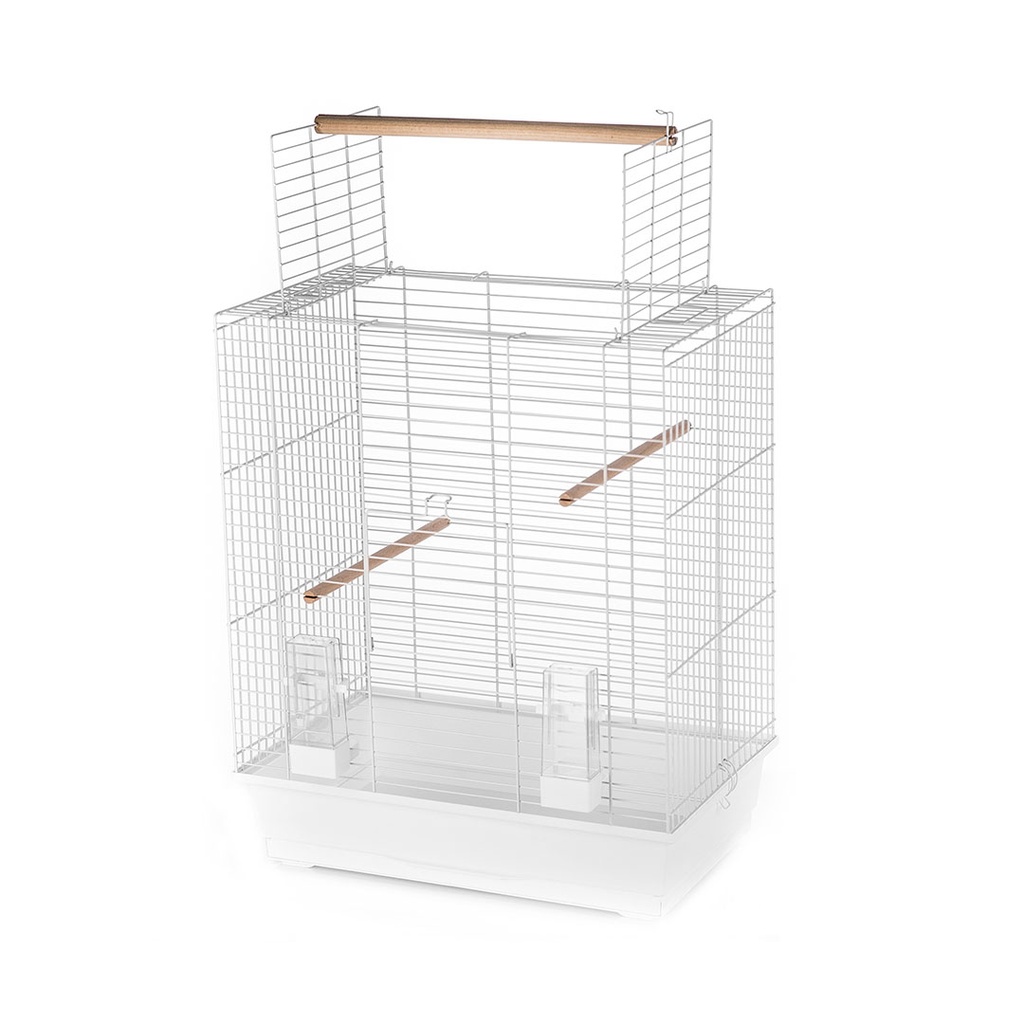 Cage ara