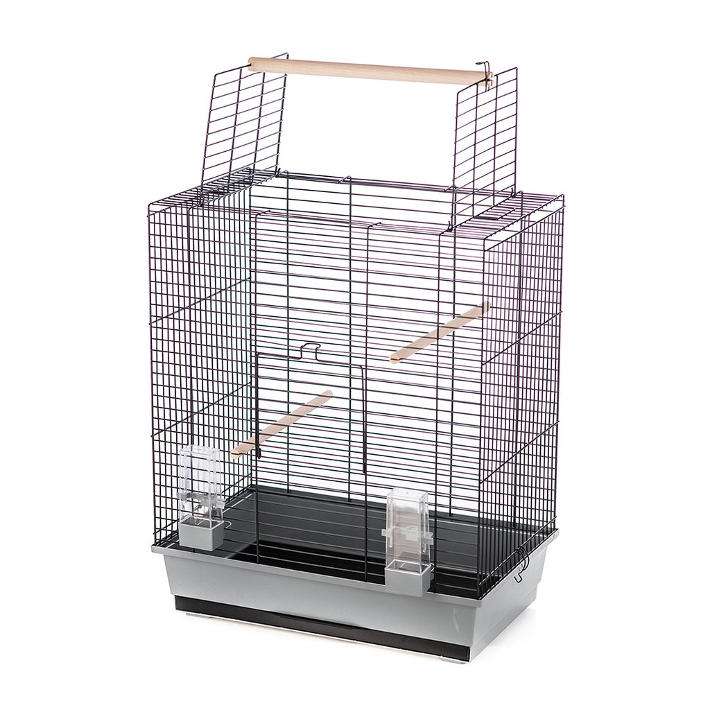 Cage ara