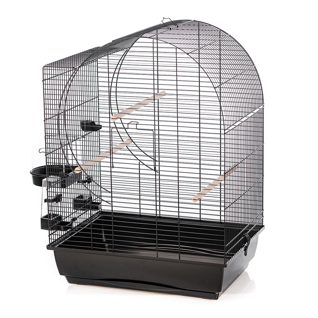 Kooi elizabeth