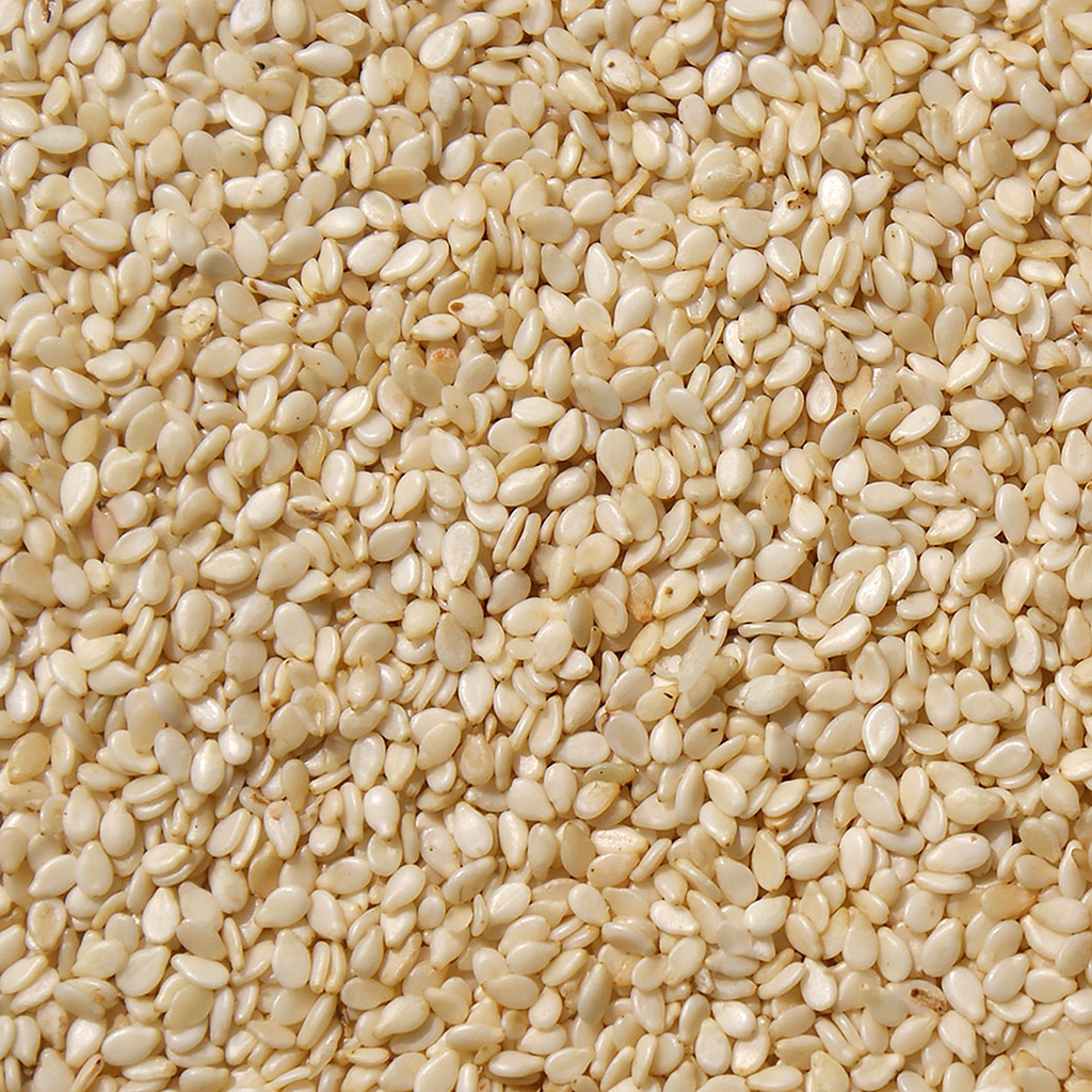 SESAME SEEDS