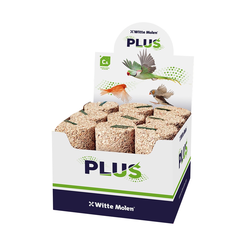 Plus Mineral block small fine