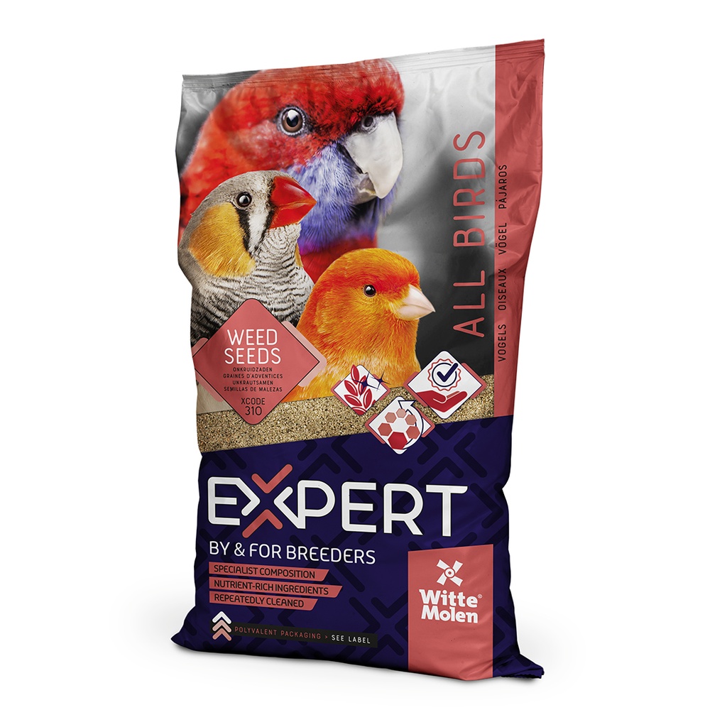 Expert graines de germination perruches