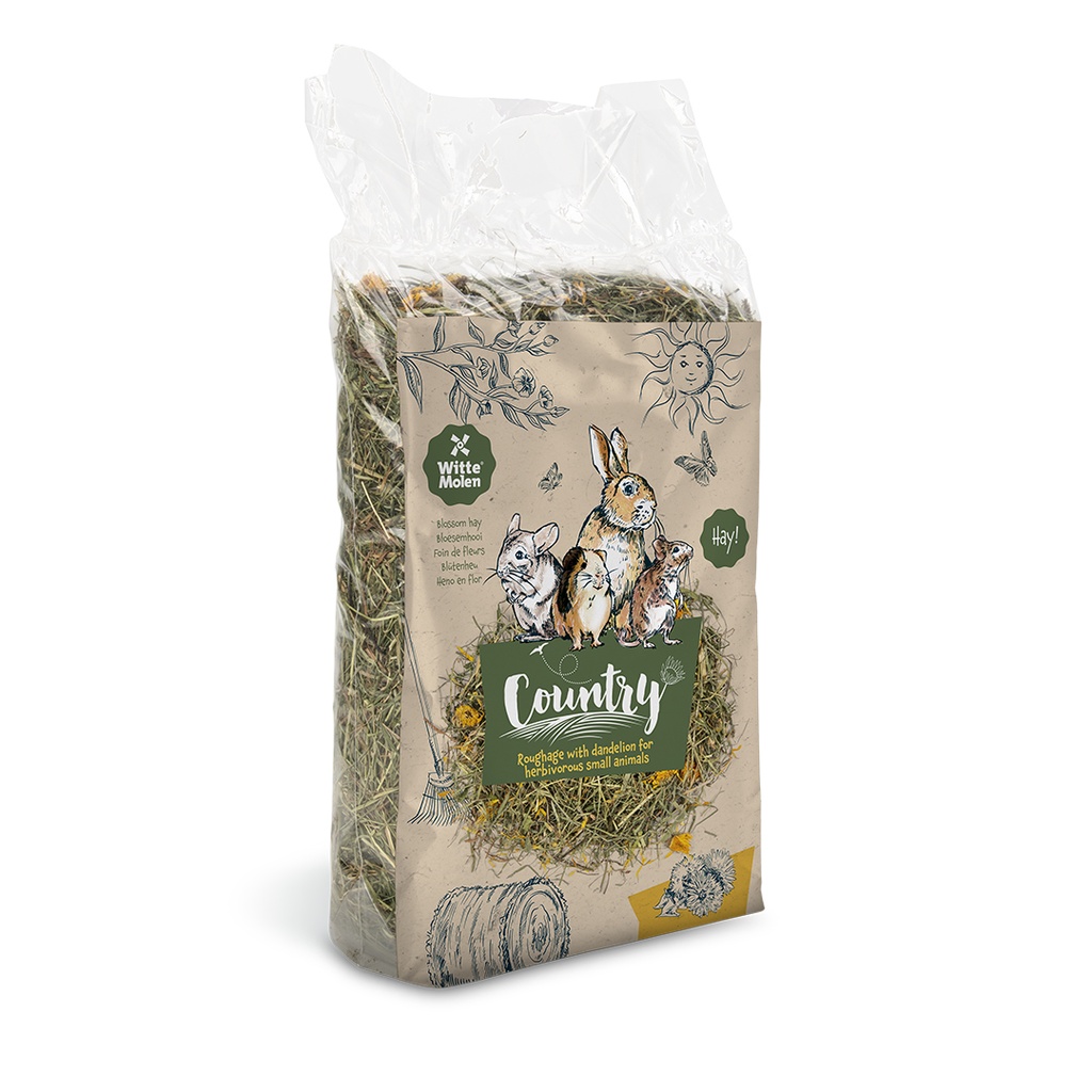Country blossom hay dandelion