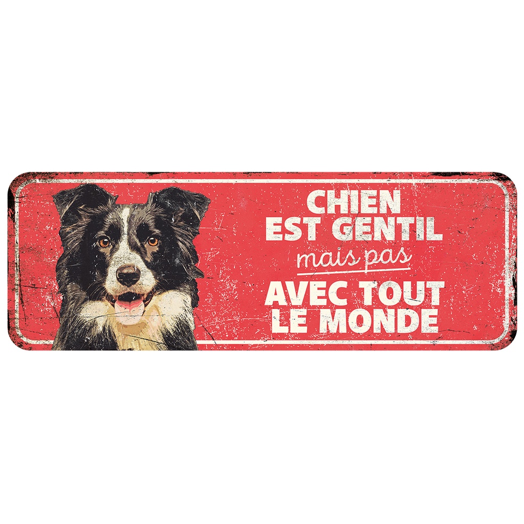 Warnschild collie fr