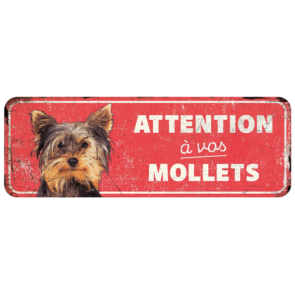 Warnschild terrier fr