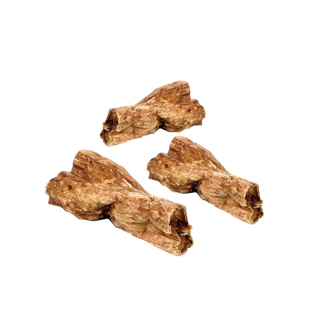 Farmz cow lungs