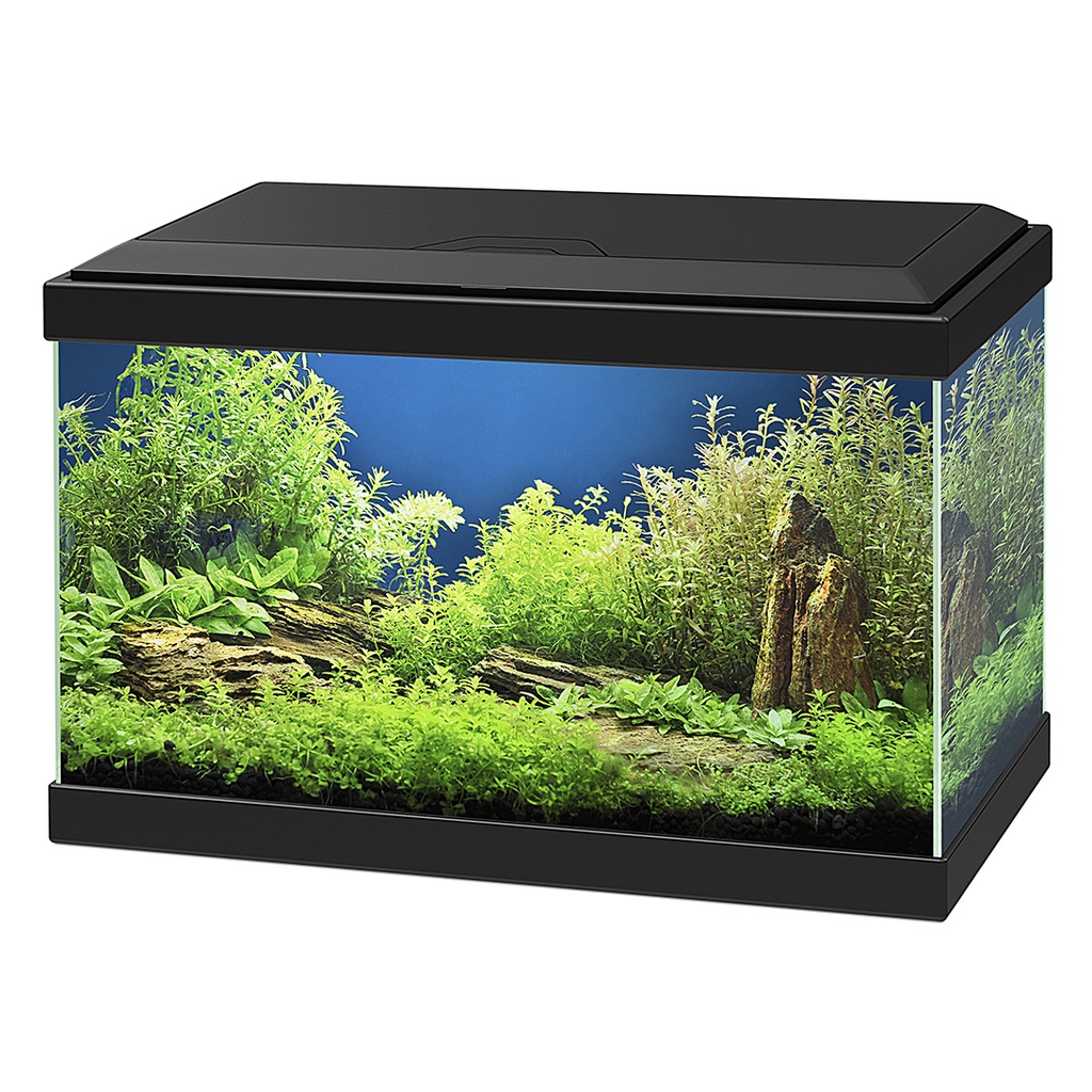 aquarium aqua 20 led