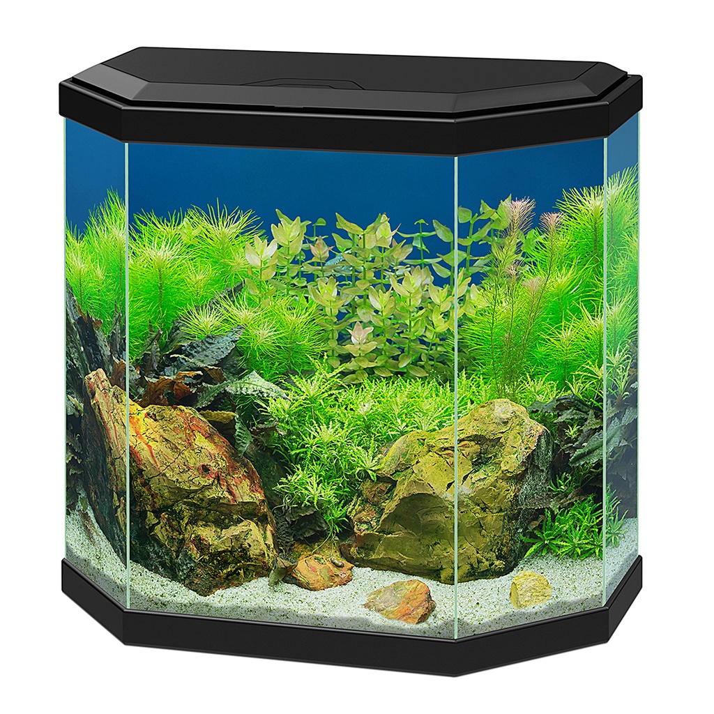 Aquarium Aqua 30 Hexa