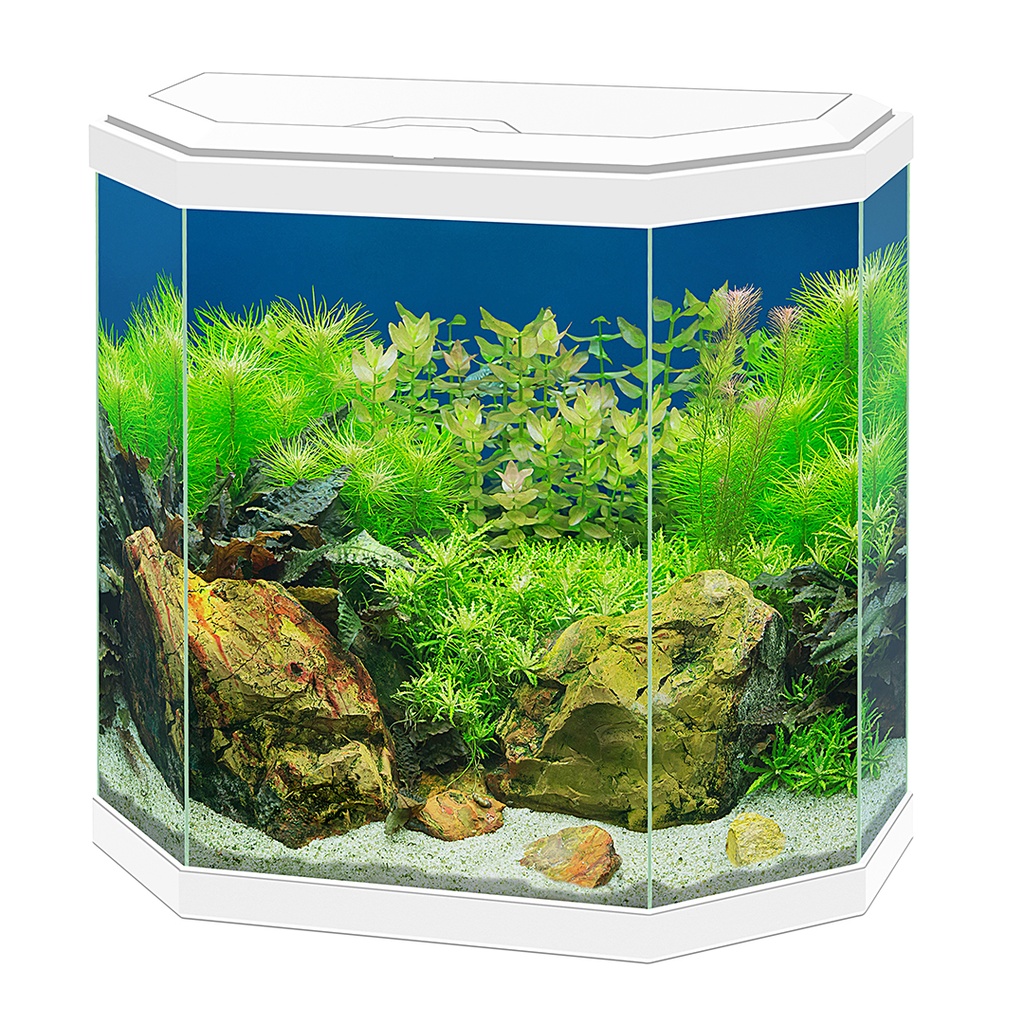 Aquarium Aqua 30 Hexa