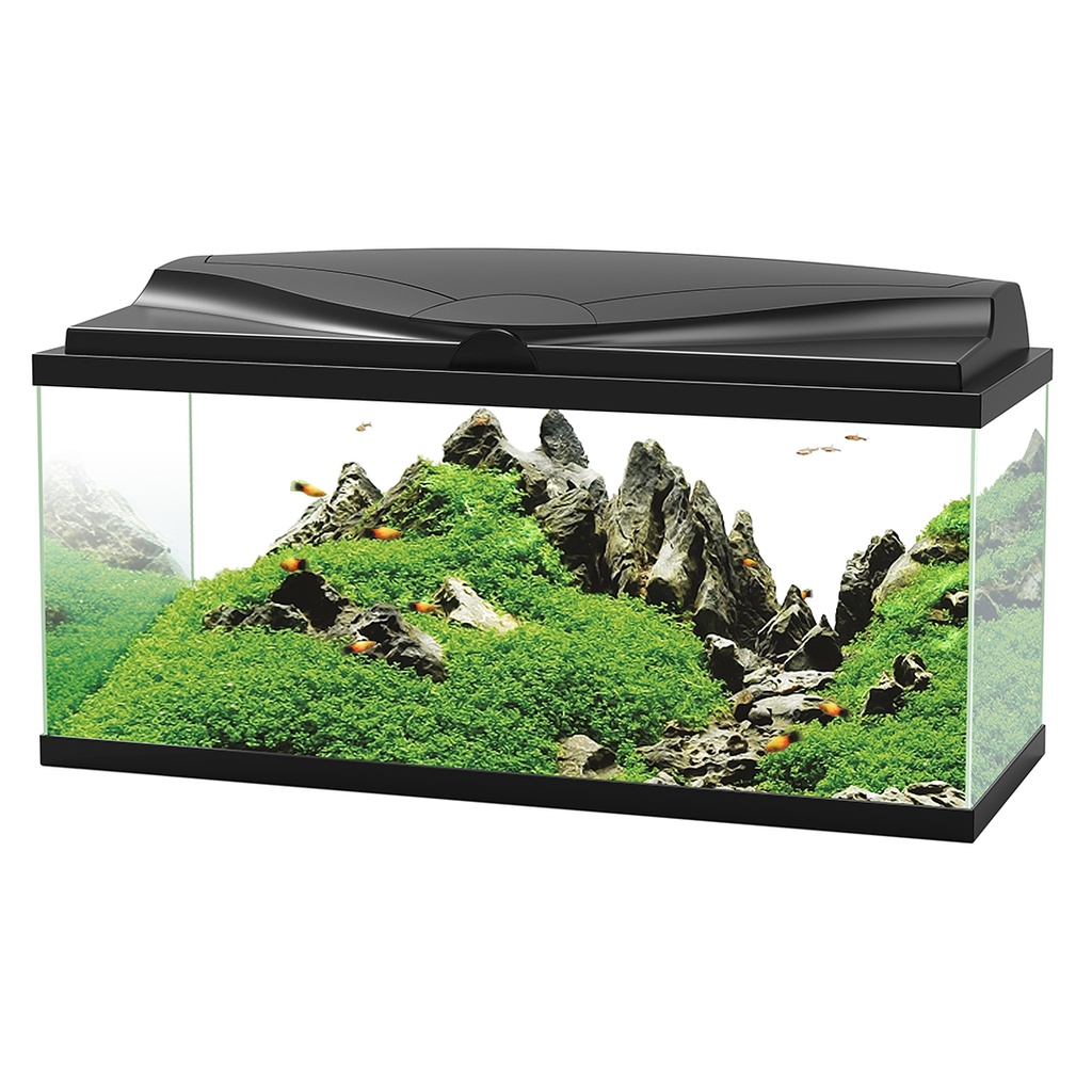 aquarium 80 led cf80