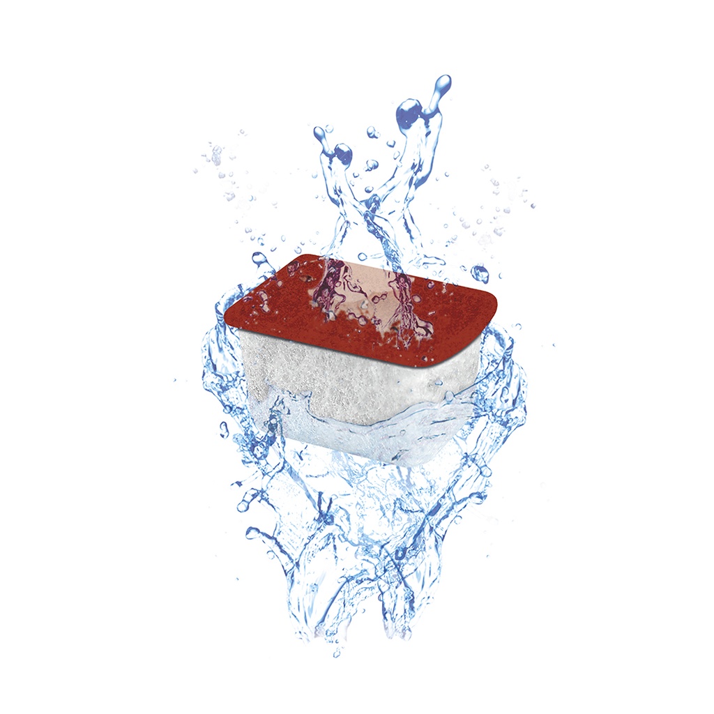 Stop-algea small 2st