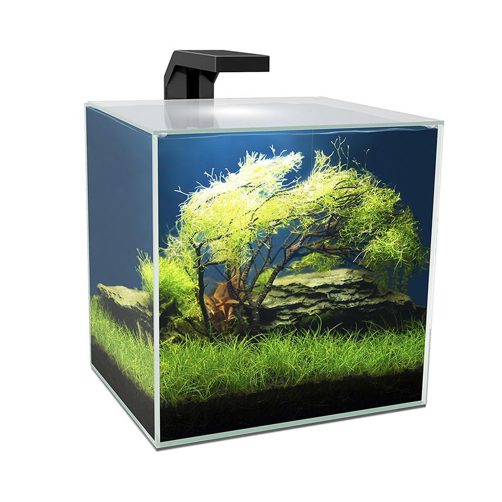 AQUARIUM CUBE 15 LED