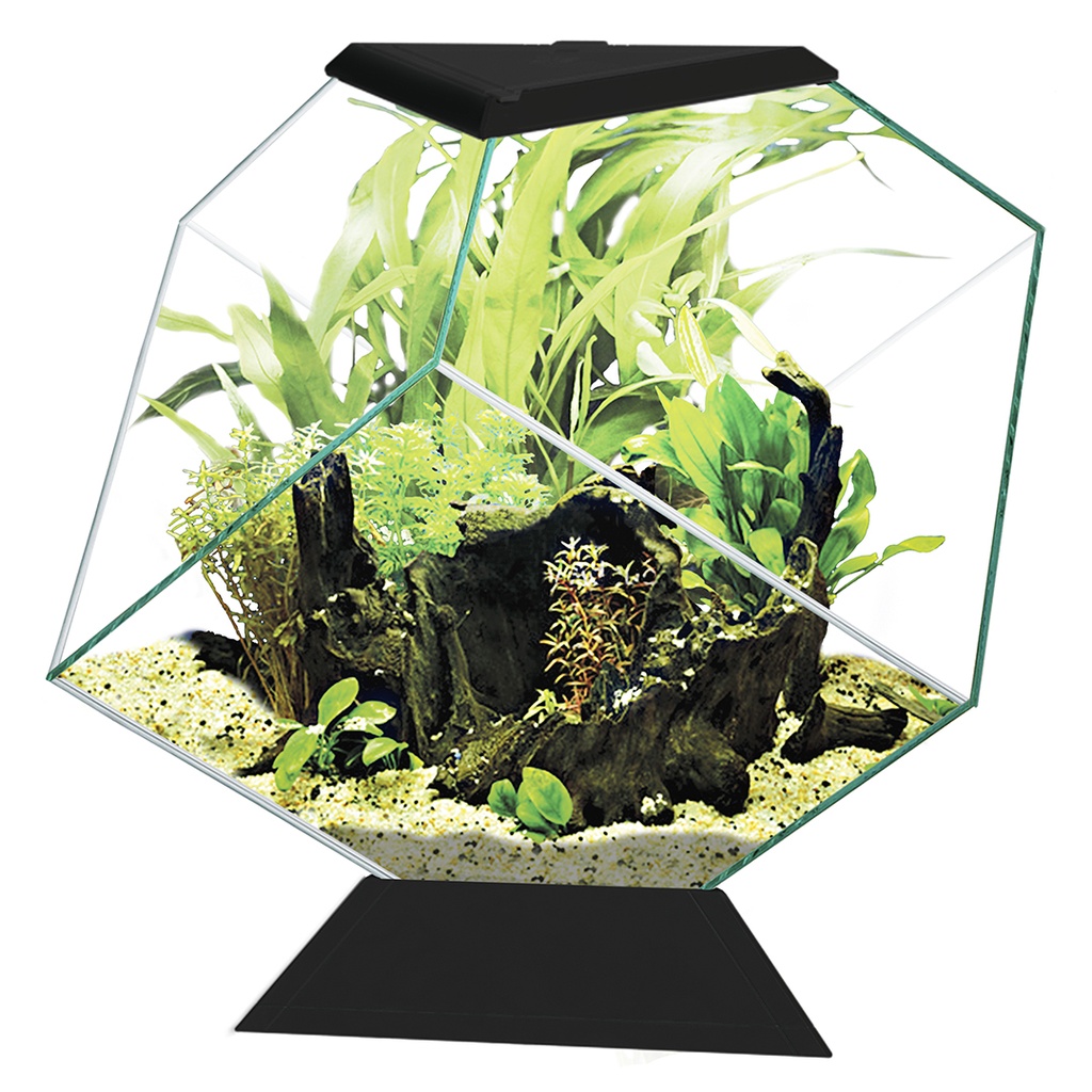 Aquarium Nexus 14C