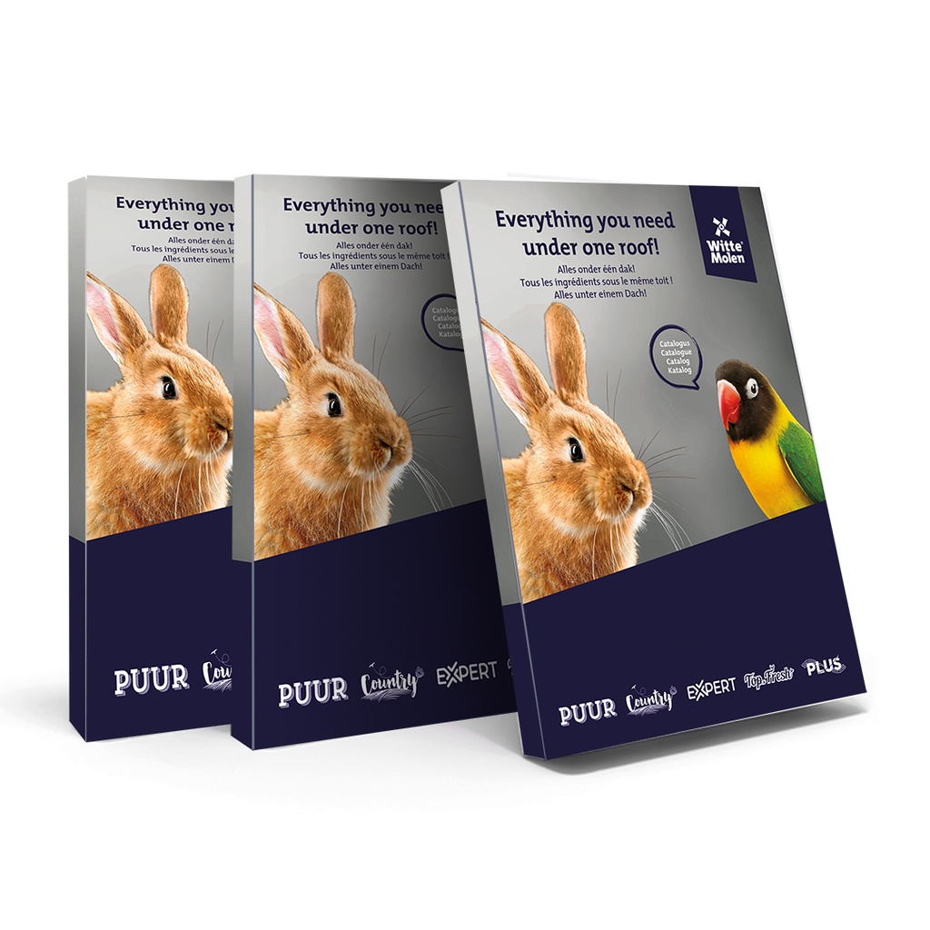 Catalog WM 2022 - NL FR EN DE