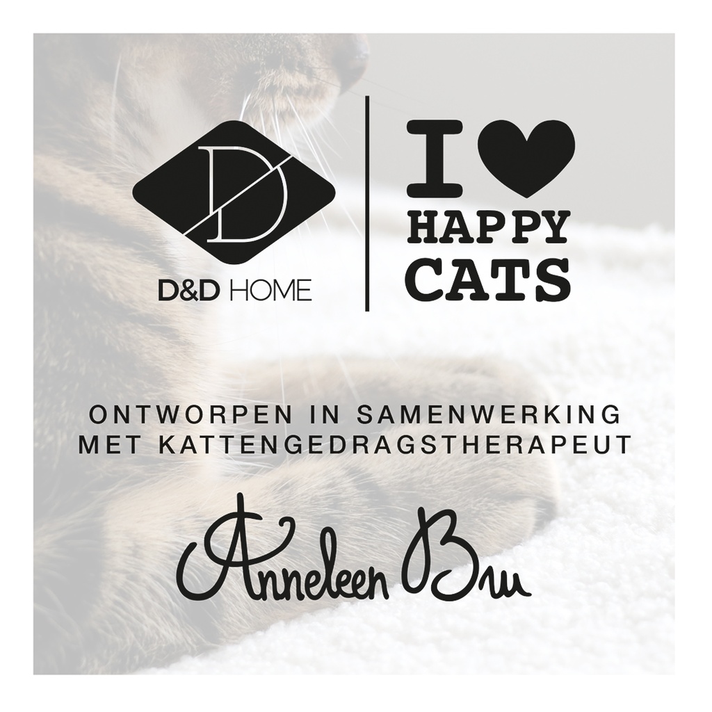 Flyer I Love Happy Cats nld