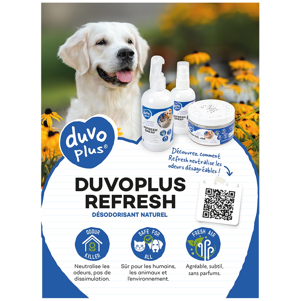 duvoplus Refresh Verbraucherflyer FRA