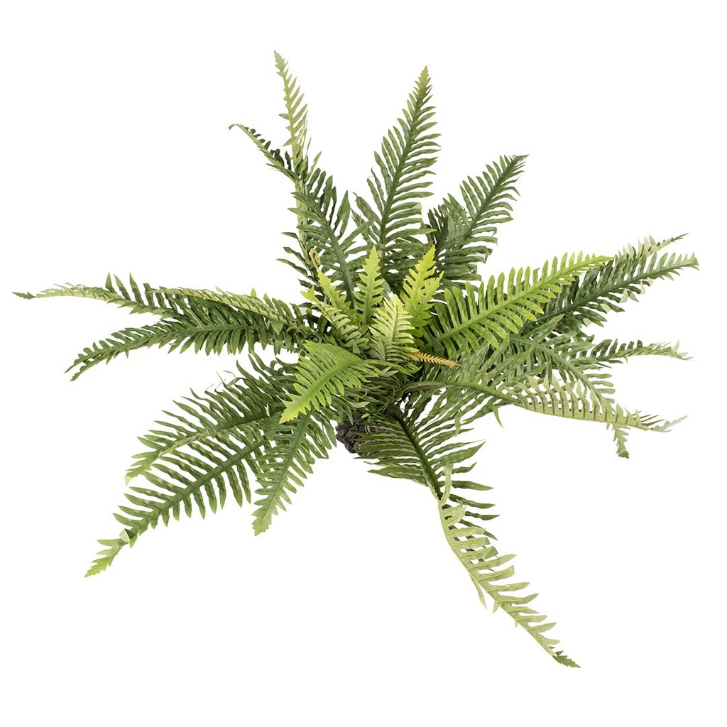 Plastic plant fern