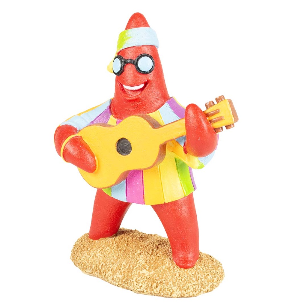 Hippie étoile de mer