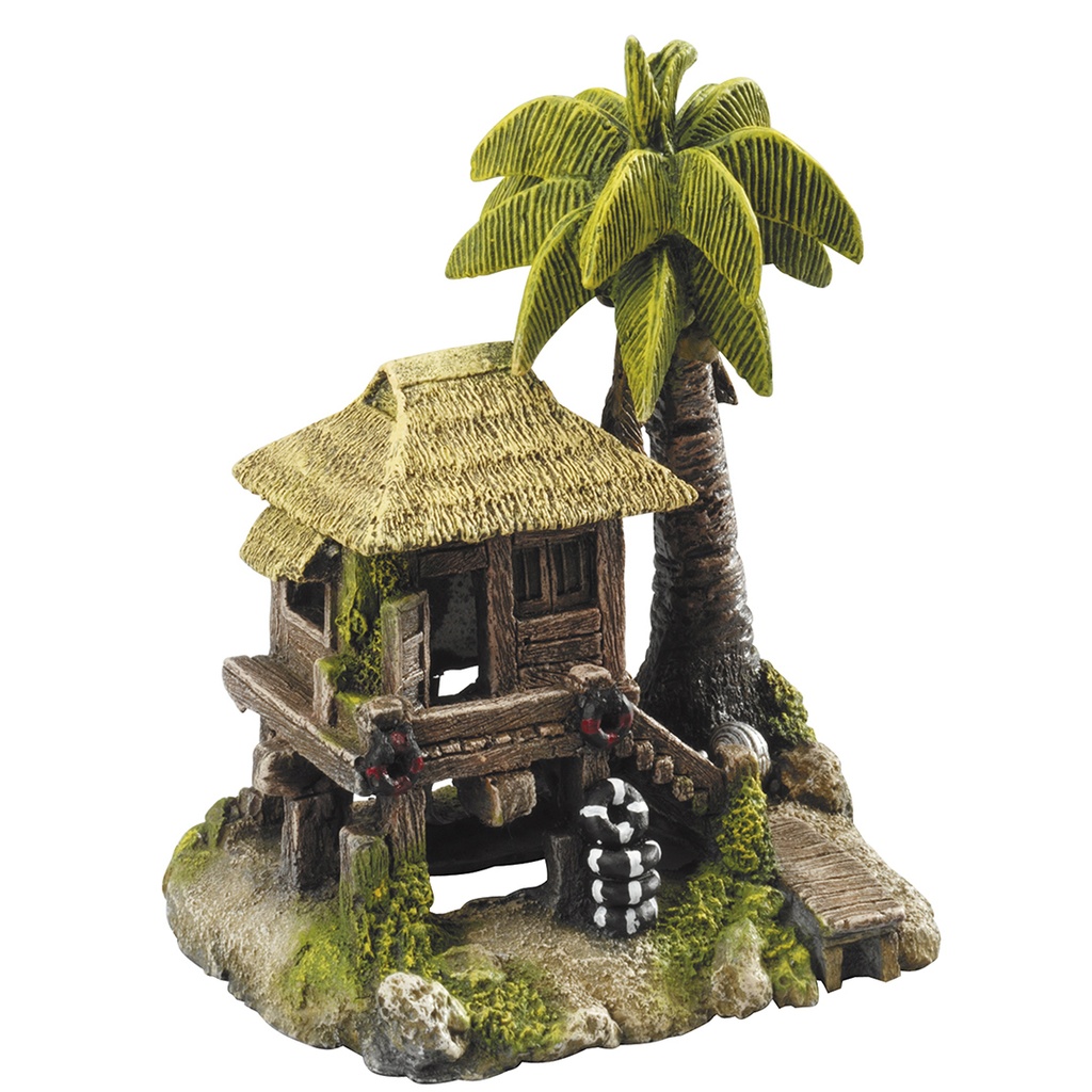 Tropical island