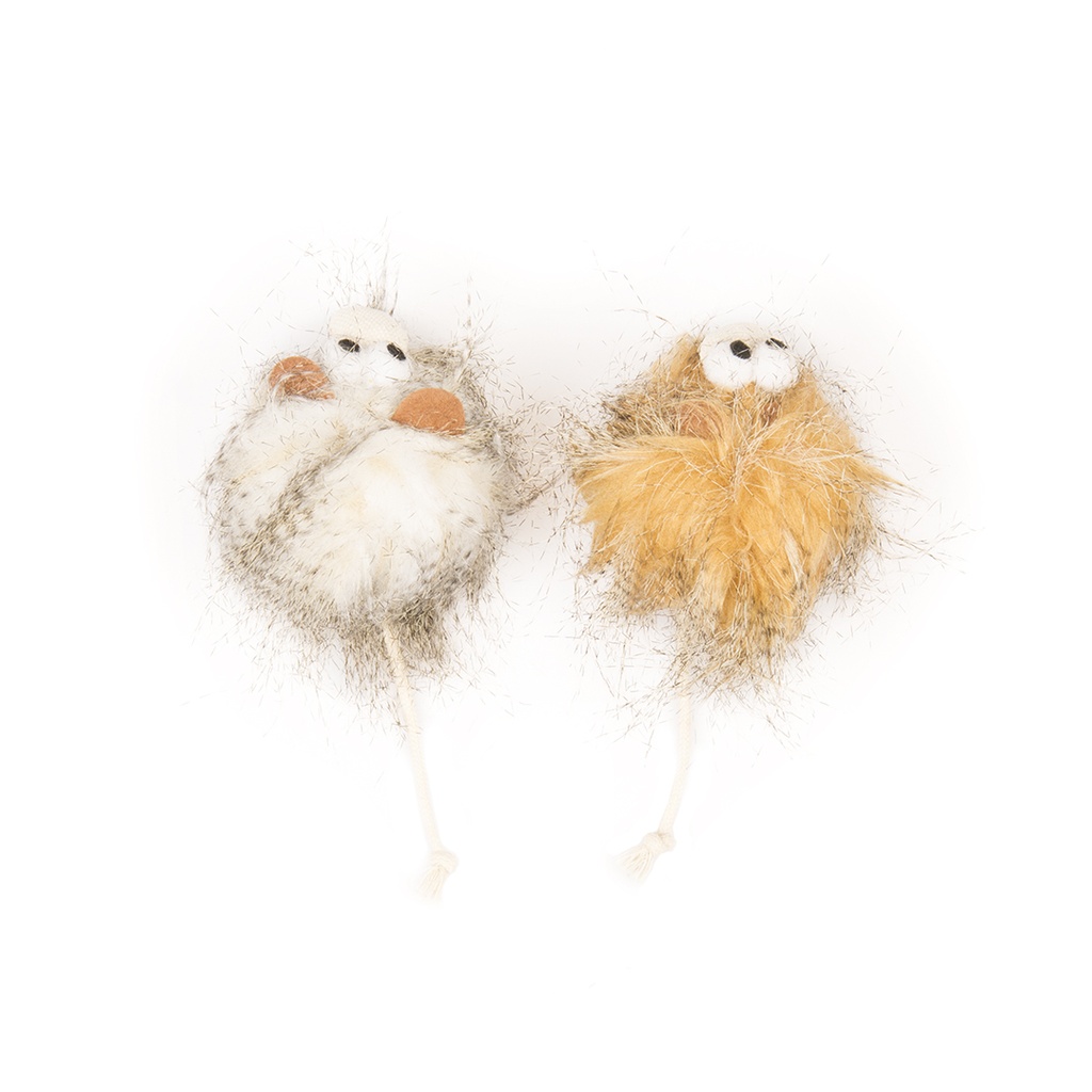 Assortment Wooly