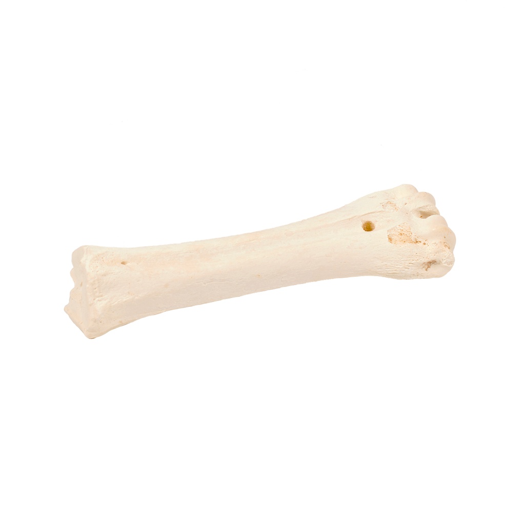 bone! Beef Bone Calcium