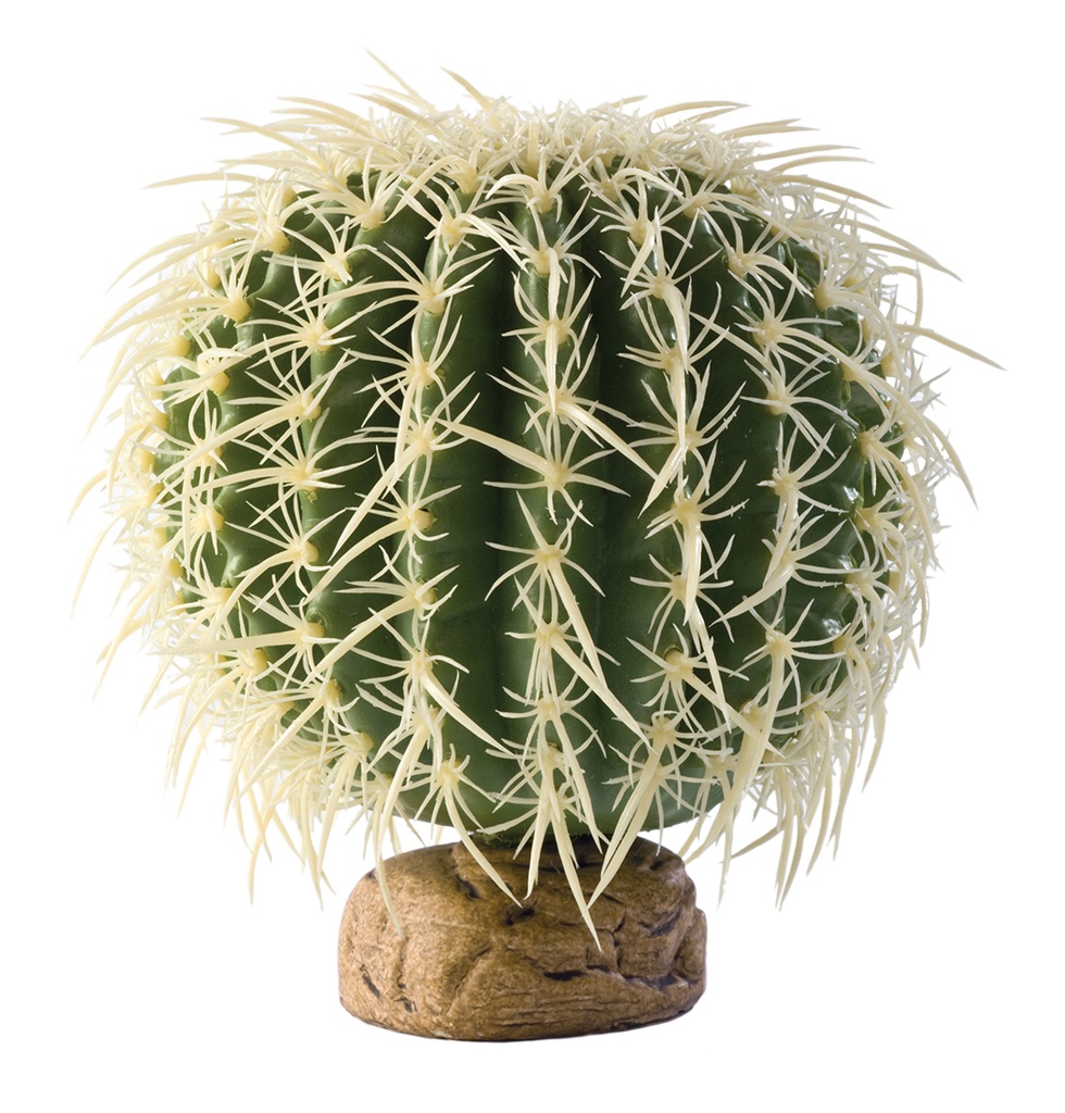 EX Cactus oursin