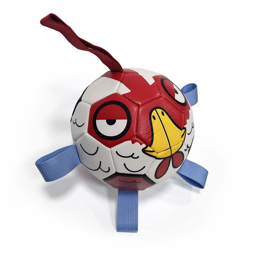 Football Birdy