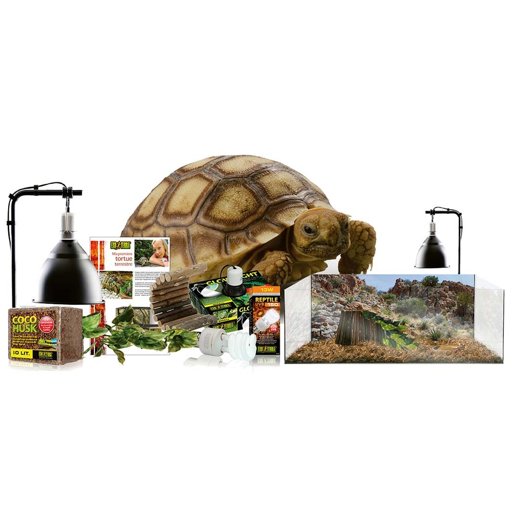 EX Kit Terrarium Land Schildkröte